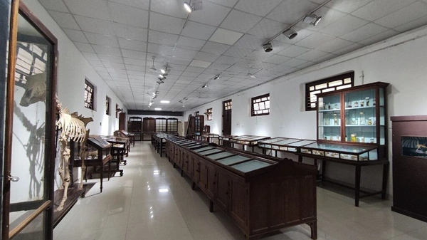 Thrissur State Museum