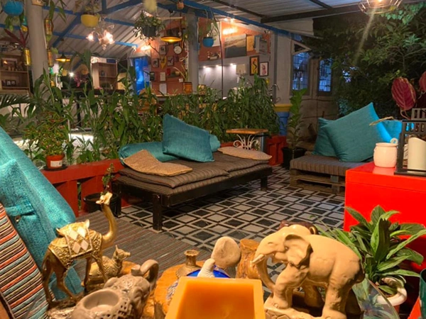 Wilderness Jungle Camp