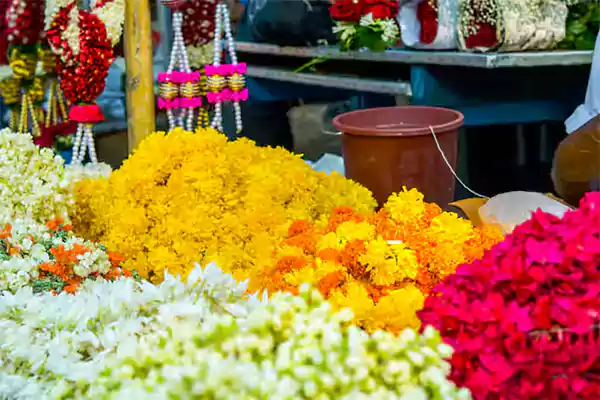 APMC Flower Market Vashi