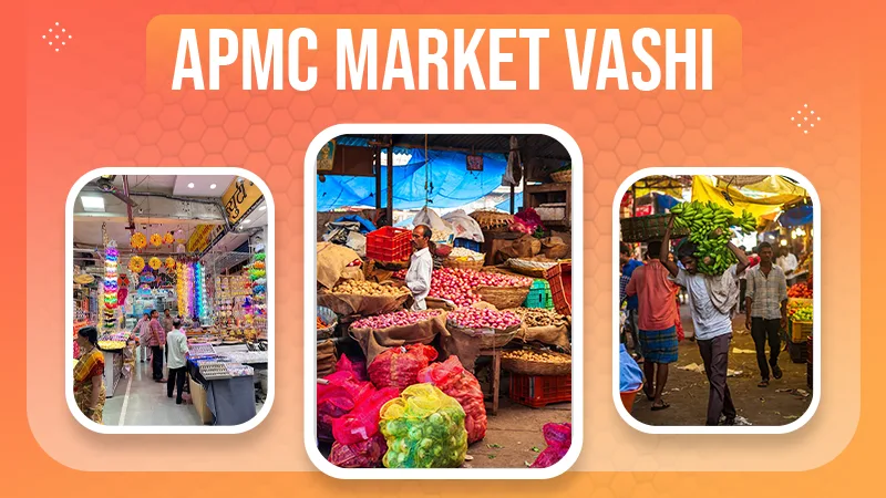 APMC Market