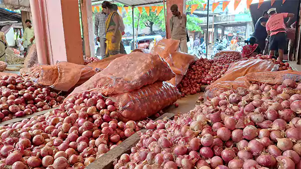 APMC onion and potato market Vashi