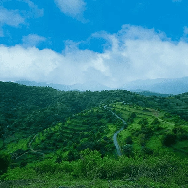 Attappady Hills
