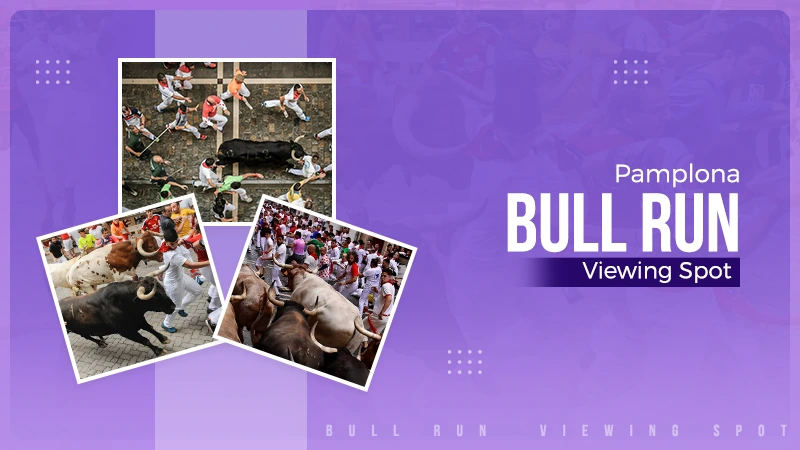 Bull Run Viewing Spot