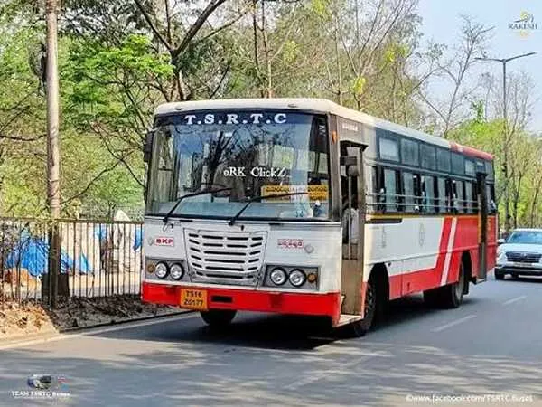 Bus