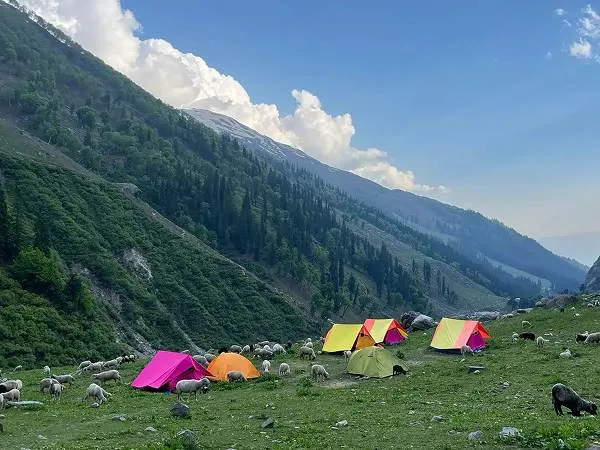 Campsites on the Hampta Trek