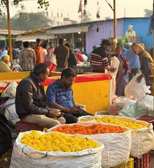 Gudii Malkapur Market