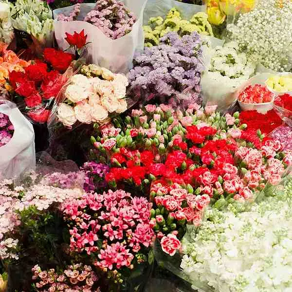 Gudimalka Flower Market