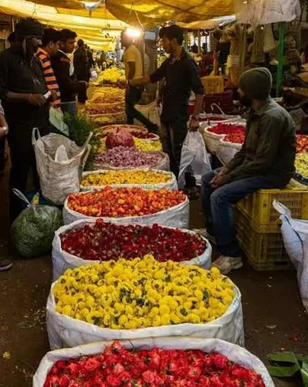 Gudimalkapur Flower Market