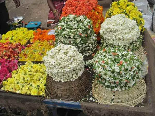 Gudimalkapur market Hyderabad