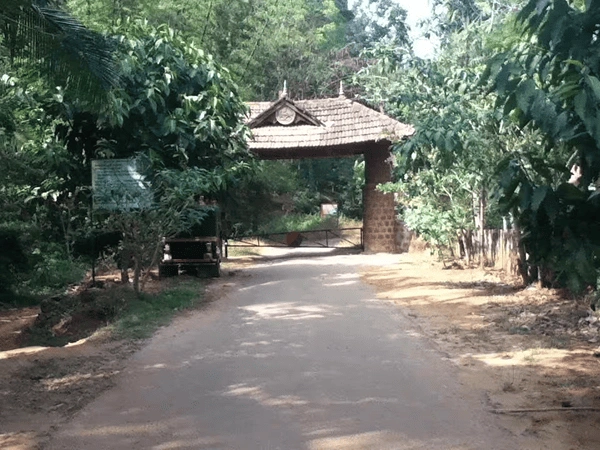 Mannarkkad Park