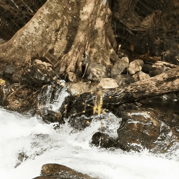 Meenvallam waterfalls