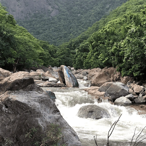 Pathrakadvu (Virgin Valley)