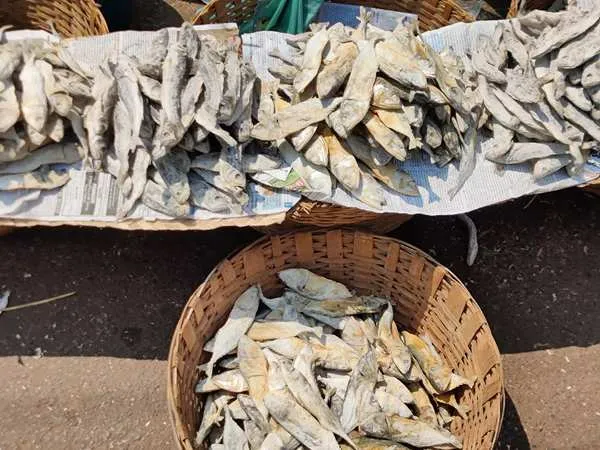 Seafood in Mapusa Market