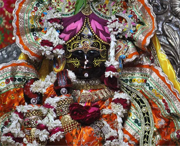 Shree Radhavallabh Jii
