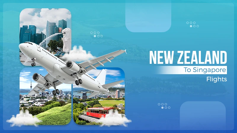 airline booking travel