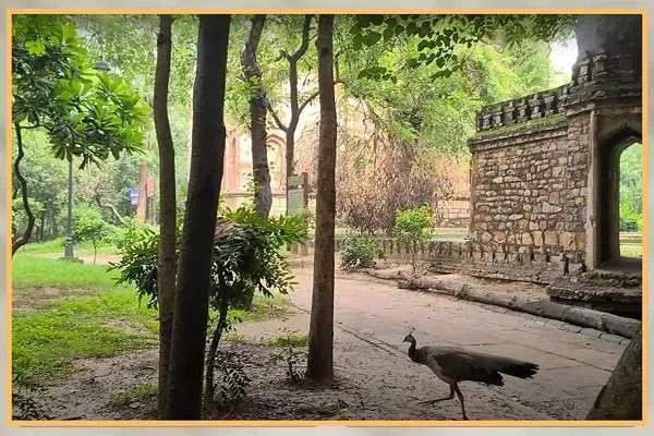 Deer Park Delhi