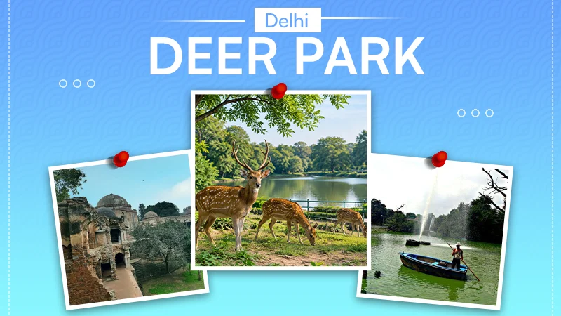 Delhi Deer Park