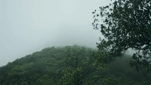 Sahyadri hills