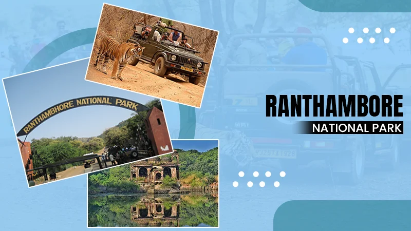 ranthambore national park
