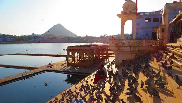 Savitri Ji Temple Near Brahma Temple, Pushkar