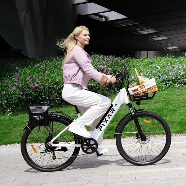 Safe and Dependable Ebike