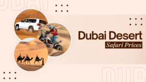 Desert Safari Dubai Price Guide for Comparing Packages