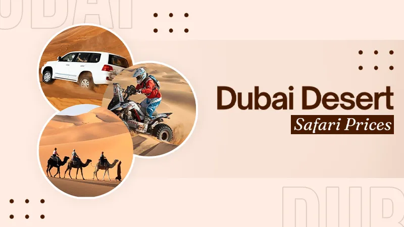 Desert Safari Dubai Price Guide for Comparing Packages